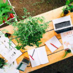 Hållbar livsstil: Konsten att minska konsumtionen: En guide till att leva mer hållbart genom att göra medvetna val i vardagen. Minimalism i hemmet: Tips och tricks för att skapa ett enklare, mindre rörigt liv genom att omfamna minimalismens principer. Träningsrutiner under lockdown: Hur man upprätthåller fysisk aktivitet och hälsa trots begränsningar i utomhusaktiviteter. Mental hälsa och medveten närvaro: Utforska fördelarna med meditation och mindfulness i en alltmer stressig värld.