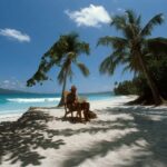 Digital nomad